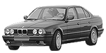 BMW E34 B251C Fault Code